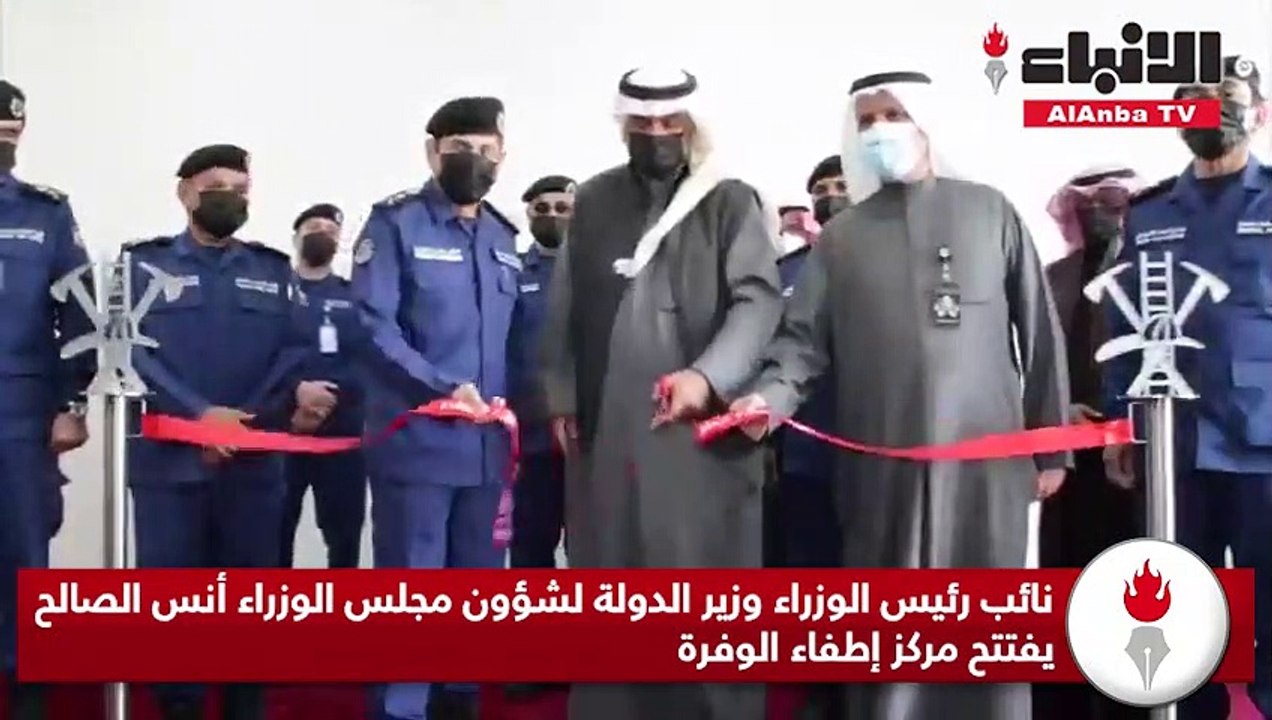 نائب رئيس الوزراء وزير الدولة لشؤون مجلس الوزرا...