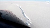 Un iceberg de la taille de l'agglomération de Paris se détache de l'Antarctique