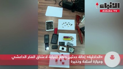 «الداخلية» إحالة حدثين وبالغ للنيابة لاعتناق الفكر الداعشي وحيازة أسلحة وذخيرة