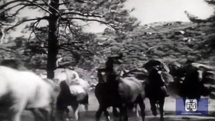 Fury - Season 1 - Episode 10 - The 4-H Story | Peter Graves, William Fawcett, Bobby Diamond