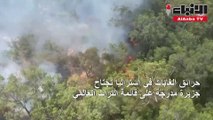 حرائق الغابات في استراليا تجتاح جزيرة مدرج