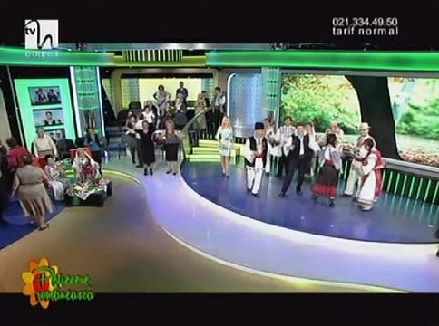 Stelian Hristea - Spune, mandra, ce-i cu tine (Petrecere romaneasca - Tvh - 26.10.2013)