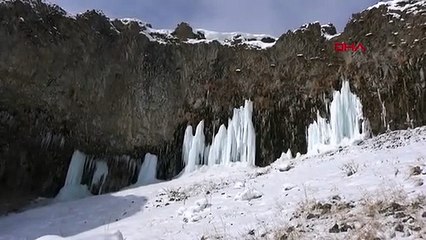 Daha önce yere dökülüyordu, şimdi kilosu 100 TL'den satılıyor