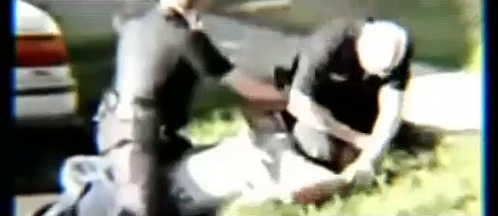 Ice Cube - Gangsta Rap Made Me Do It (official video)