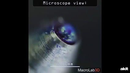 Tükenmez kaleme bir de mikroskopla bakın