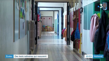 Covid-19 : des tests salivaires dans 17 écoles de l'académie de Grenoble
