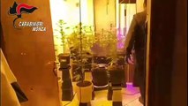 Vimercate (MB) - Serra di marijuana in casa arrestato 44enne (27.02.21)