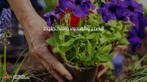 الحياة بعد الإقلاع عن المخدرات وعلاج الإدمان