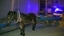 Polisin 'Dur' ihtarına uymayan 2 şahıs çaldıkları at arabasını bırakıp böyle kaçtılar