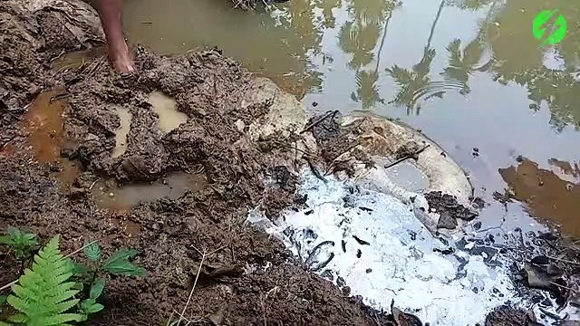 Ce pecheur sort quelque chose d'incroyable de la boue