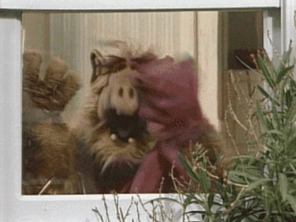 Alf l'extraterrestre - Alf danse pour La voisine