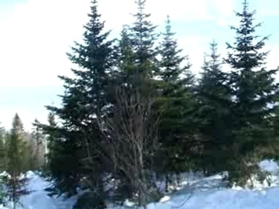 DSCF6774