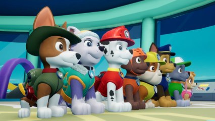 PAW Patrol On A Roll All Characters & Powers (PS4)