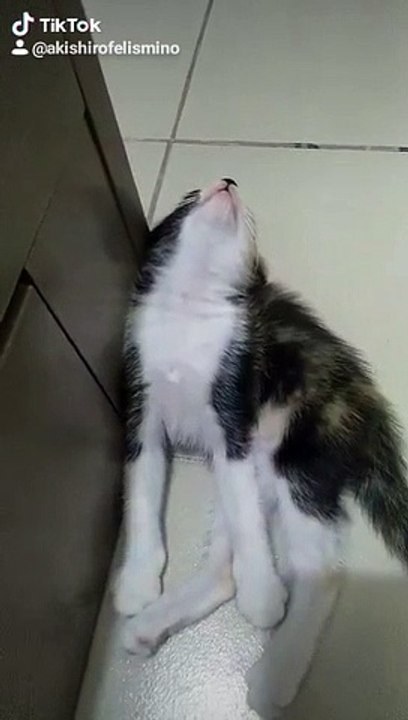 drop