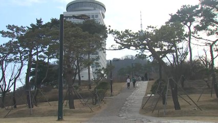 [날씨] 2월의 마지막 날 포근, 공기도 깨끗...봄이 오는 남산 / YTN