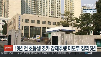 18년전 초등생 조카 강제추행 이모부 징역 5년