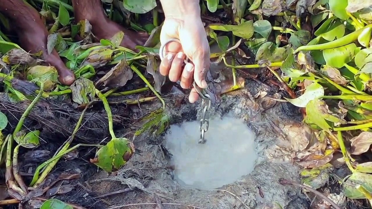 Unbelievable Fishing Technique _ Best Underground Monster Come Out With Big Chicken _Unique Fishing | CreativeVilla