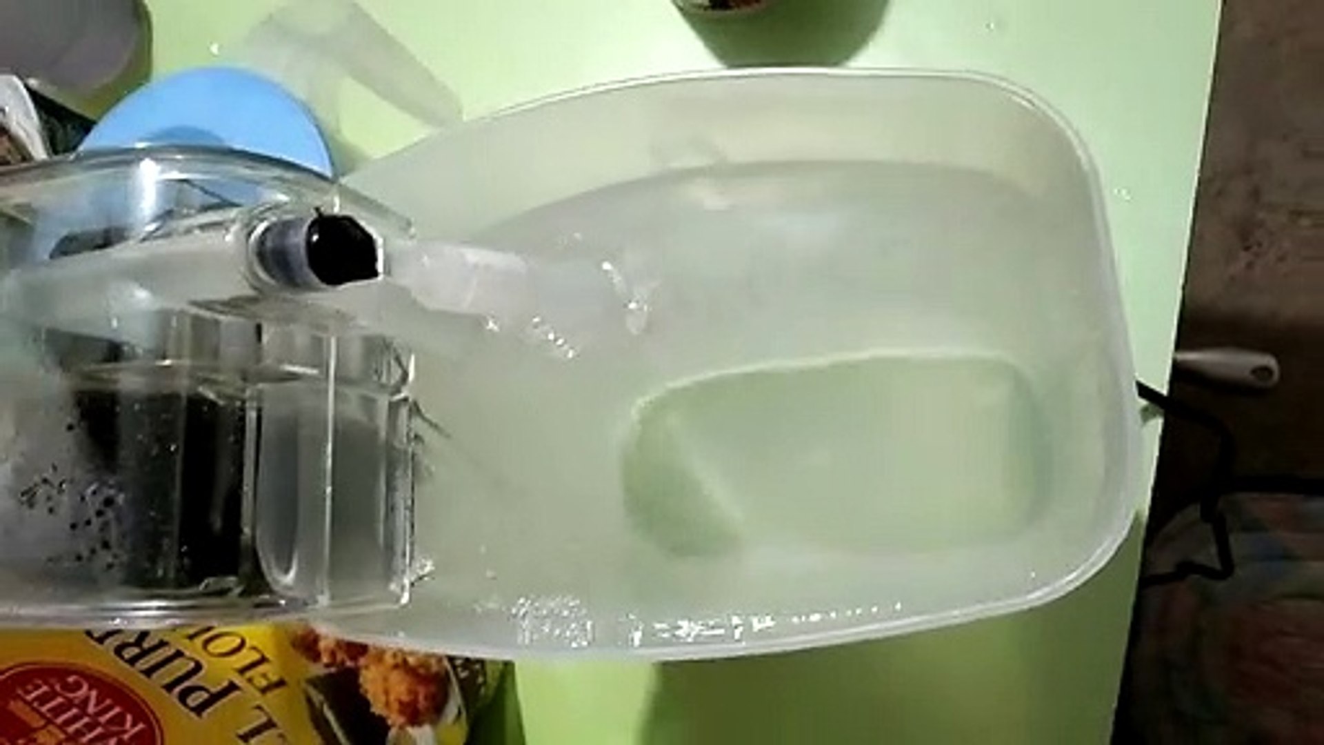 ⁣Mini aquarium