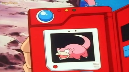 pokedex #079 slowpoke