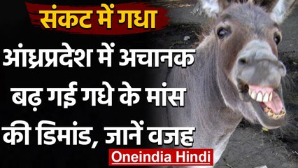 Andhra Pradesh: गधों पर संकट, यौन शक्ति बढ़ाने को मांस खा रहे लोग | वनइंडिया हिंदी