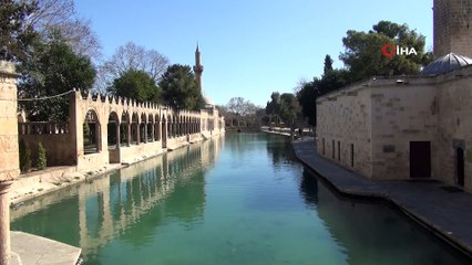 Balıklıgöl kısıtlamada yeni evlenen çiftlerin gözdesi oldu