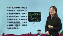 15、夏天里的成长|小学语文课文|六年级上