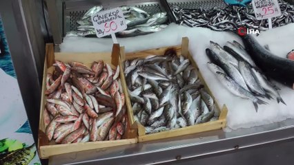 Balıkta zam şampiyonu çinekop oldu: Kilosu 60 TL