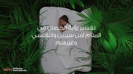 تفسير رؤية الحصان في المنام لابن سيرين والنابلسي وغيرهم