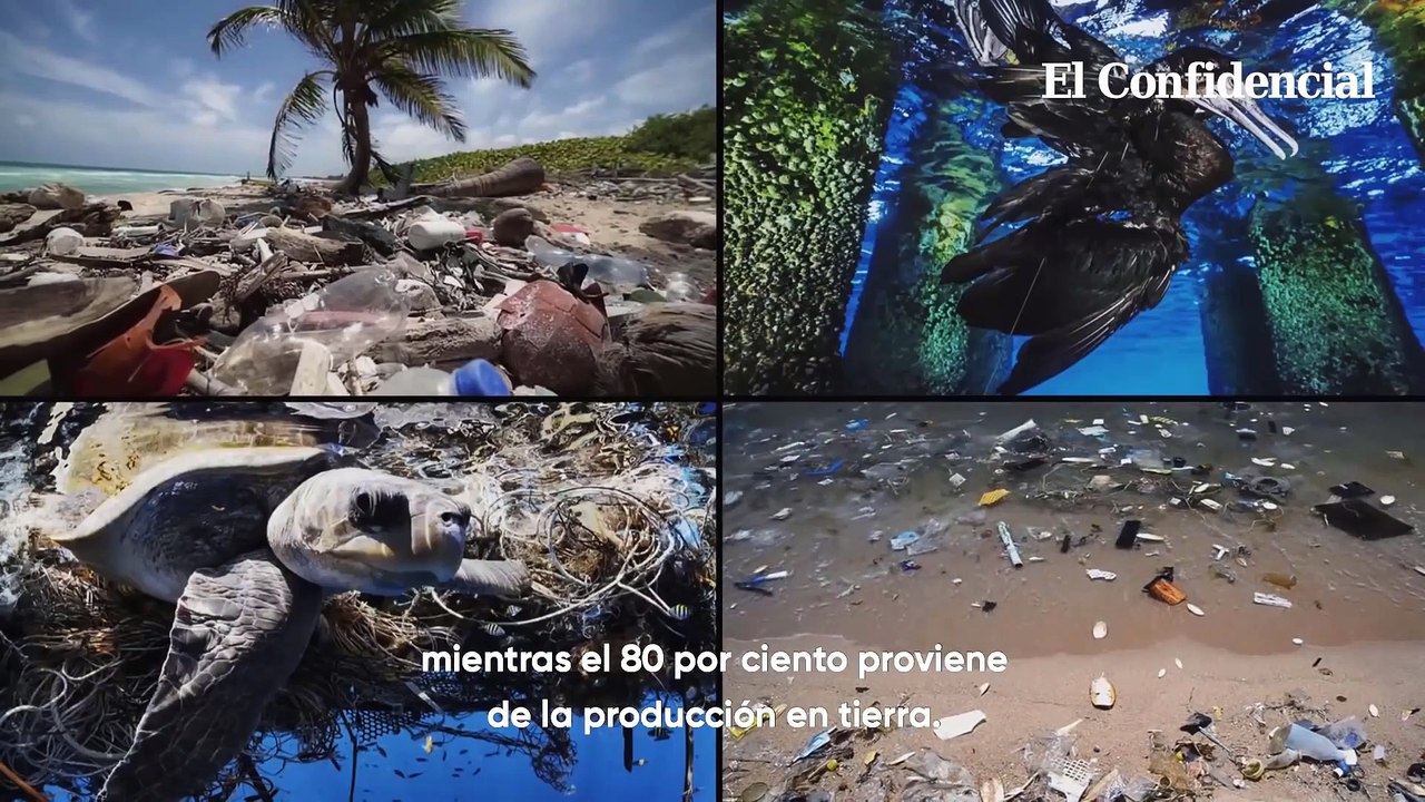 Fundación Yammine nos muestra el océano con manchas de plástico