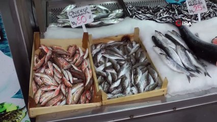 Balıkta Zam Şampiyonu Çinekop Oldu: Kilosu 60 TL