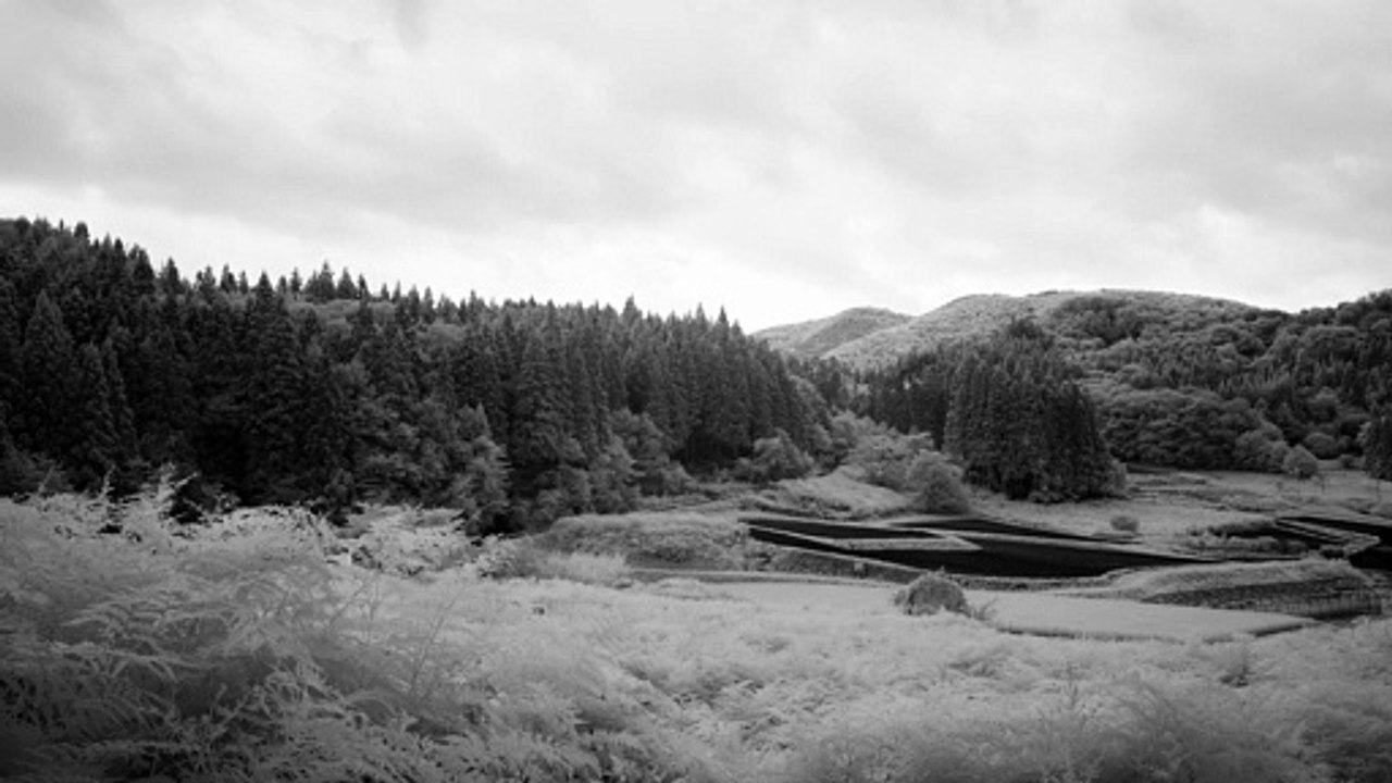 Infrared Videography #9