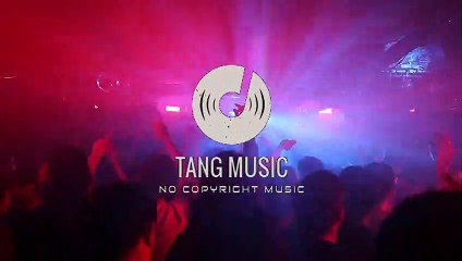 ◀️ Alan Walker, K - 391 & Emelie Hollow - Lilly (ARDII Bootleg )  [No Copyright Music]  ▶️[Tang Music]