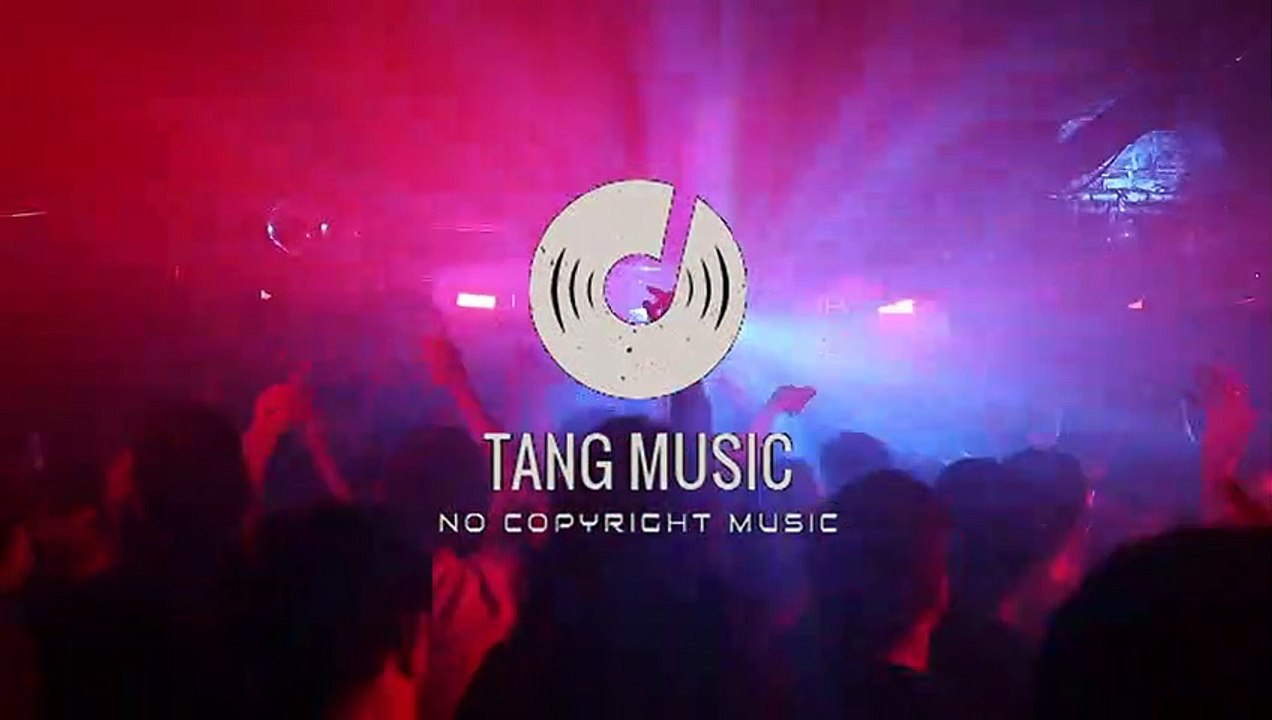 ◀️ Alan Walker, K - 391 & Emelie Hollow - Lilly (ARDII Bootleg )  [No Copyright Music]  ▶️[Tang Music]