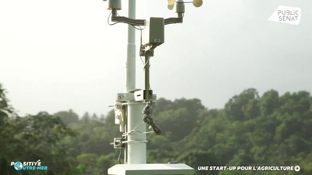 Myditek : Une start-up pour l'agriculture - Positive Outre-mer (28/02/2021)