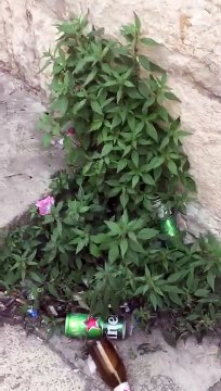 Sabato sera ad Andria, il giorno dopo: non c'è nemmeno un angolo senza rifiuti abbandonati - la video-denuncia di un cittadino