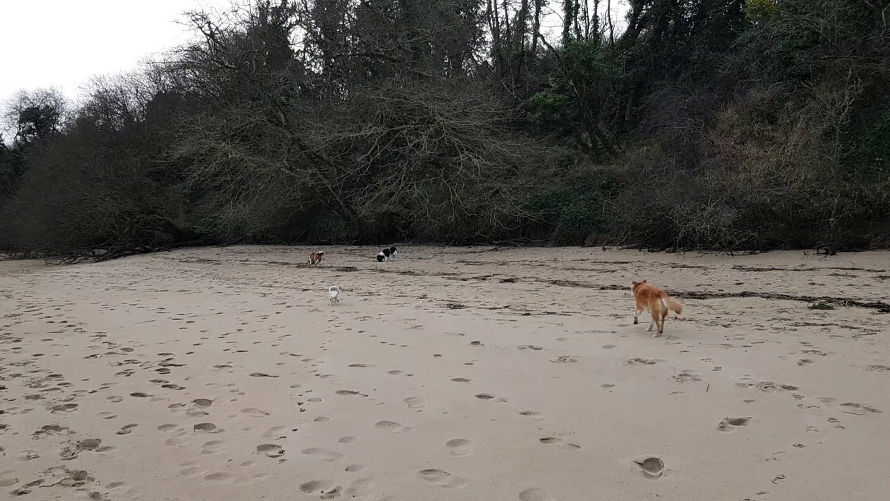 A la plage à Lancieux 21 02 2