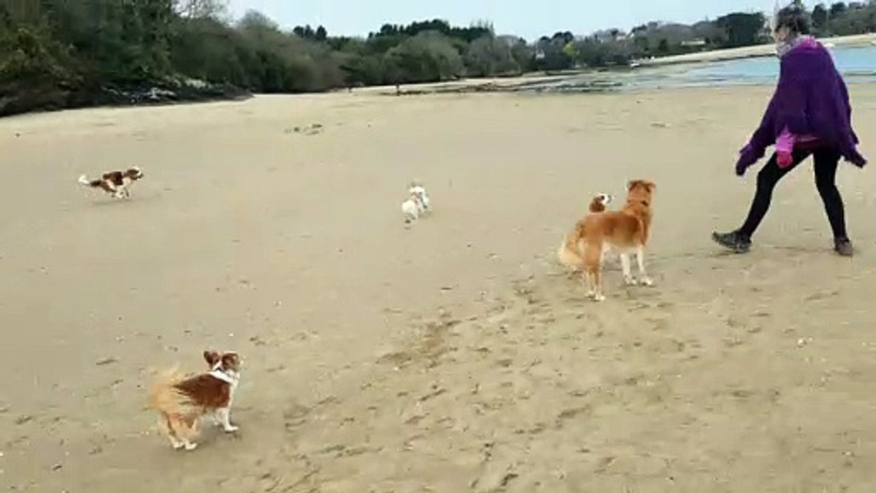 A la plage à Lancieux 21 02 4