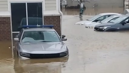 Descargar video: Heavy rain leaves wide swaths of Kentucky flooded