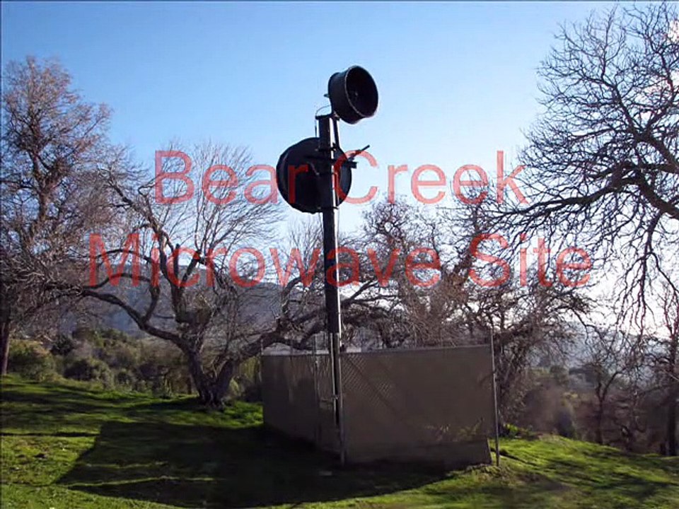 Cet écureuil a caché 35kgs de glands dans une antenne