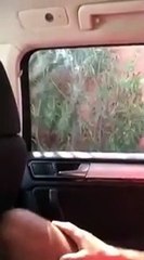 Il essaie de voler une voiture aux vitres teintées alors que le propriétaire est dedans