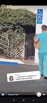 مودل روز تُصدم بسبب كلبها