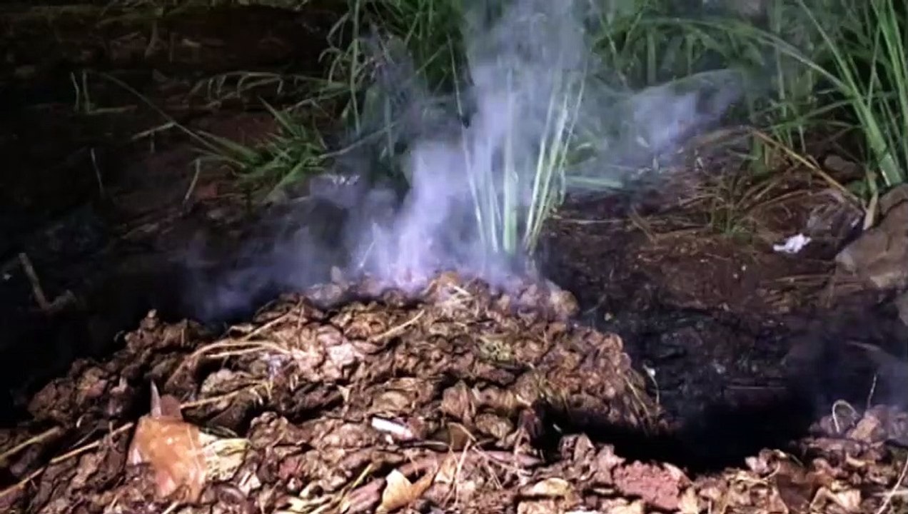 Fogo em lixo e entulhos mobiliza equipe do Corpo de Bombeiros