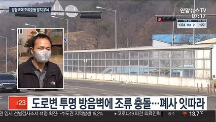 새들의 무덤된 투명 방음벽…충돌방지 격자무늬 설치