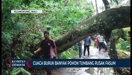 Download Video: Cuaca Buruk Banyak Pohon Tumbang Rusak VASUM