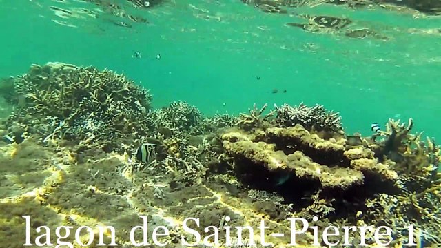 LAGON DE SAINT-PIERRE 1(ILE DE LA REUNION );LAGON DE SAINT-PIERRE(ILE DE LA REUNION )