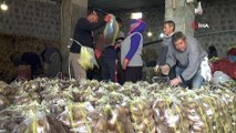 Bağcılar Belediyesi, Nevşehir’den 100 ton patates aldı