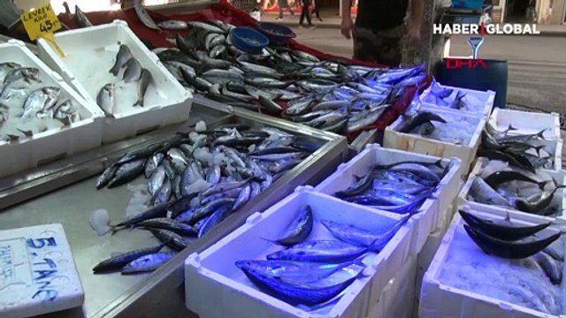 Kavanozu 350 liradan yok satıyor