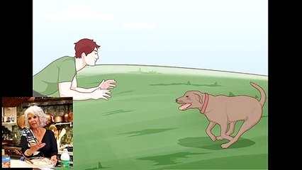 Safely Introduce Your Dog to Water