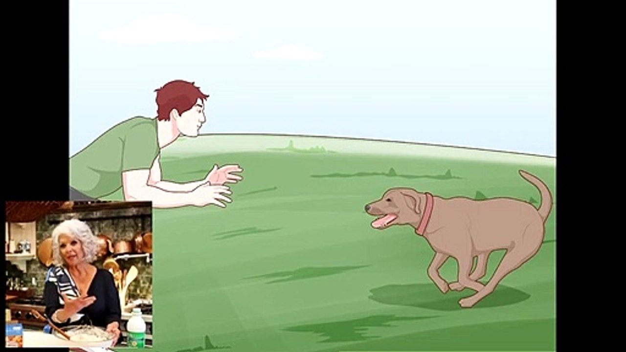 Safely Introduce Your Dog to Water