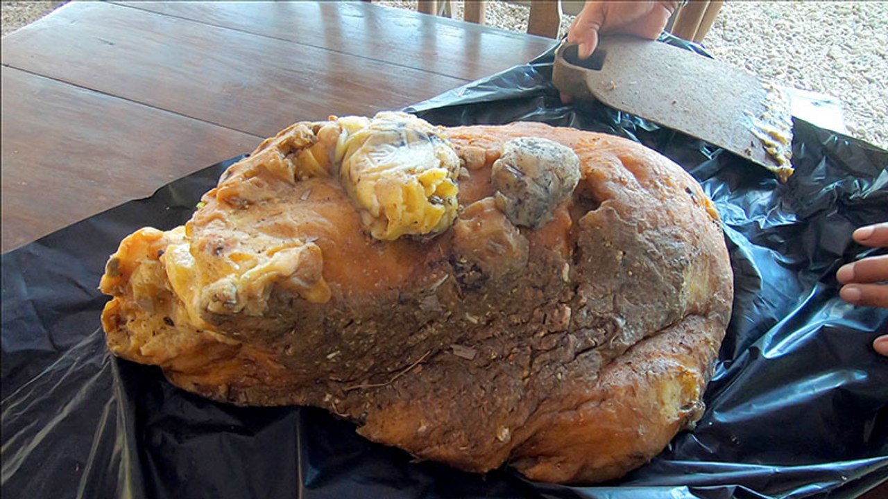 Des pêcheurs deviennent millionnaires grâce à du vomi de baleine